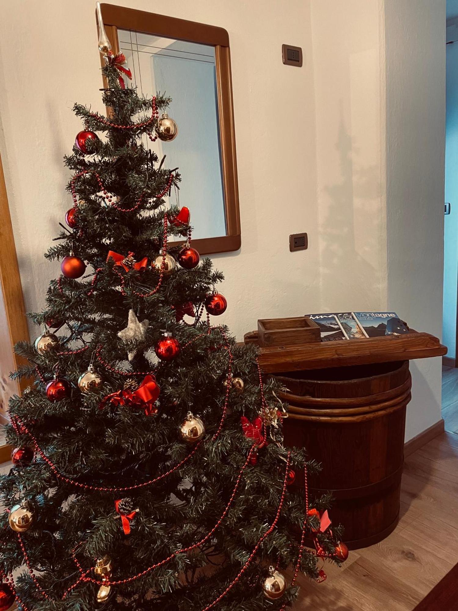 Apartament Casa Vacanze Cesco Resia San Pietro di Cadore Zewnętrze zdjęcie